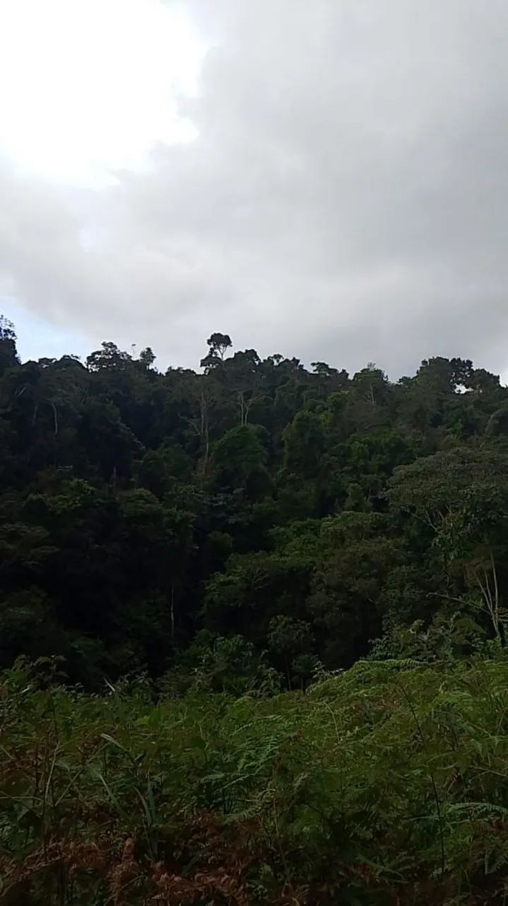 4 e quitaria e meia  - Foto 4