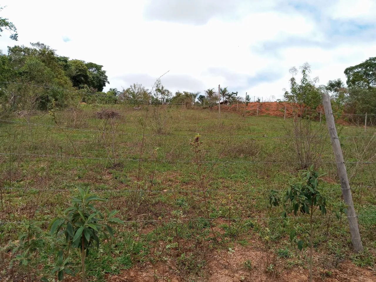 Chácara 1200 M2 - Foto 3