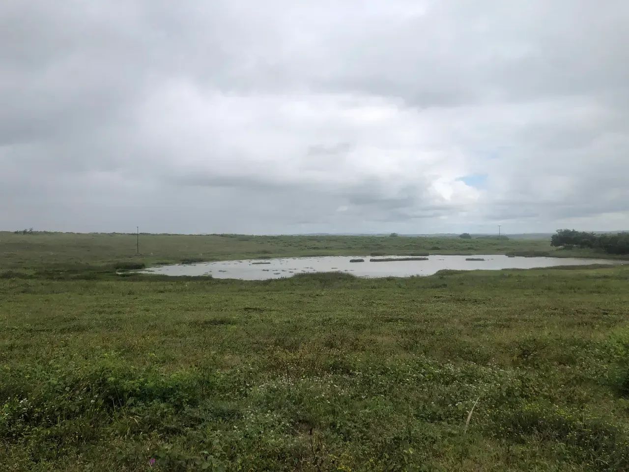 Fazenda para Arrendar