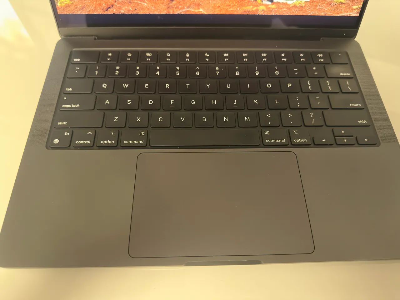 Oportunidade: MacBook Pro M4 Max - 36gb RAM 1TB - Notebooks