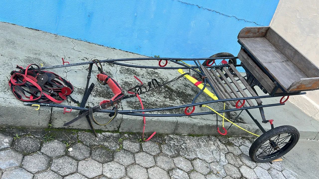Charrete é curriama - Foto 3
