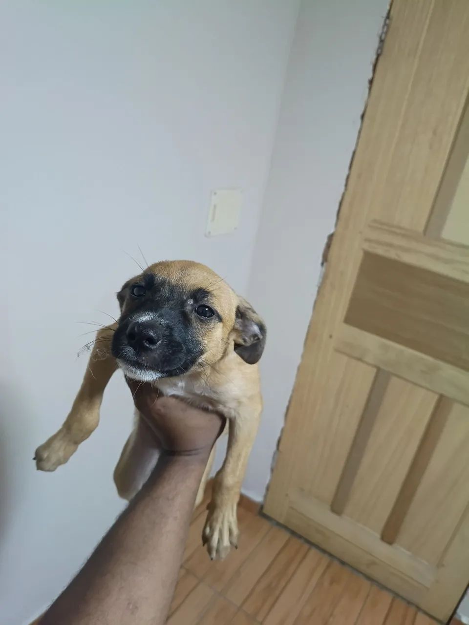 Doação 