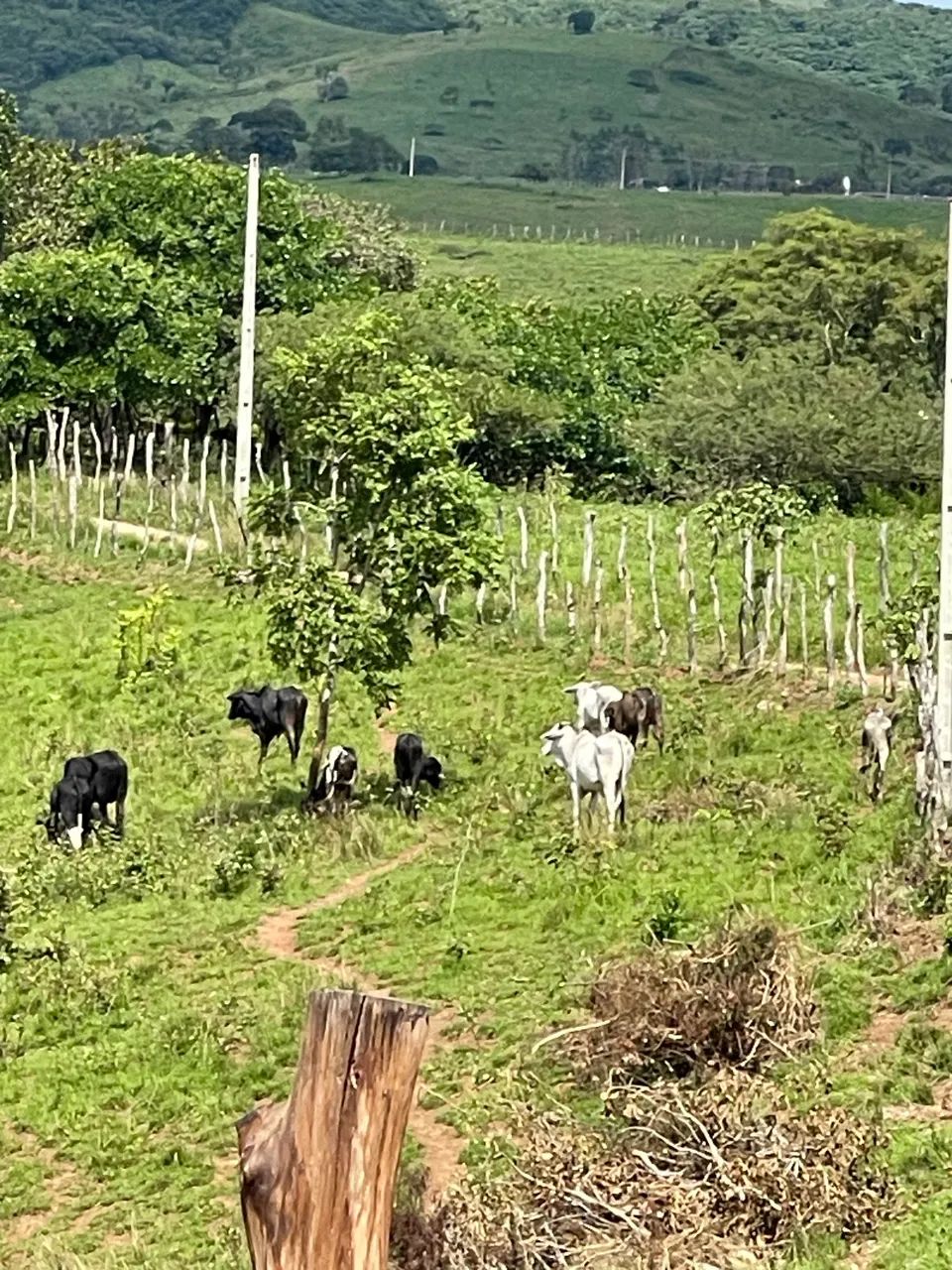 Sítio documentado ideal para criação ou instalar usina solar