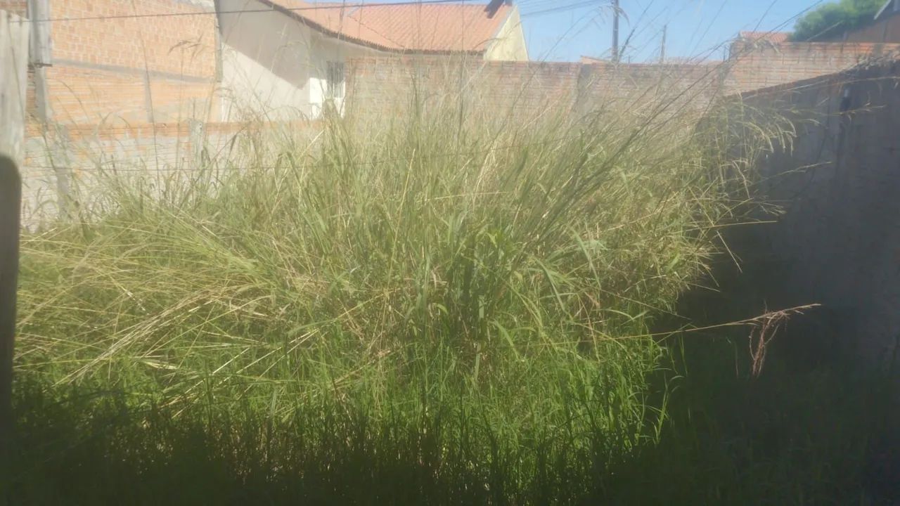 Jardinagem, roçada e podas. - Foto 2