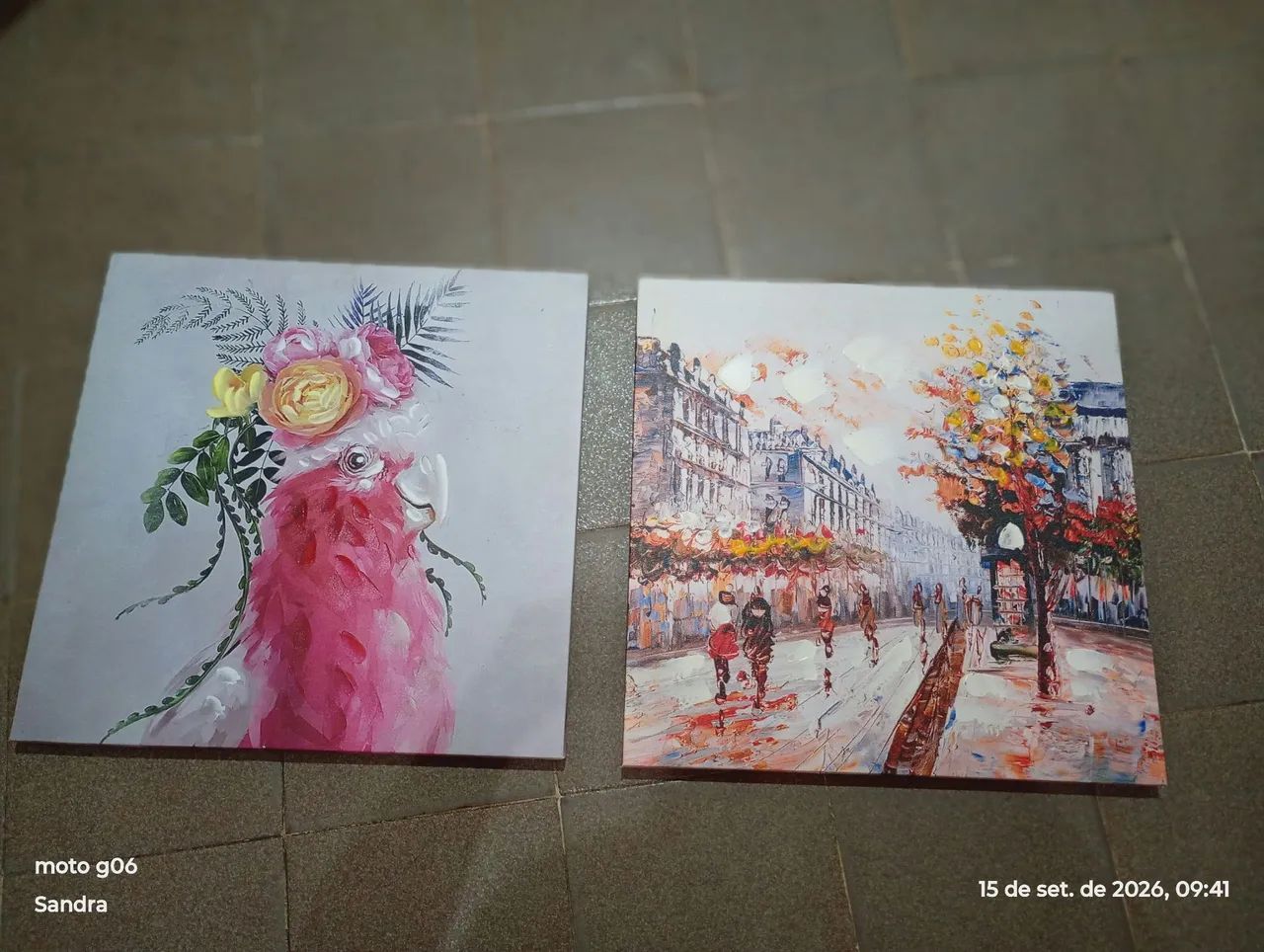 Quadros  - Foto 5