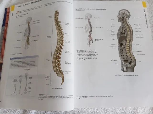 Livro Atlas de Anatomia - 2ª Edição - Foto 4