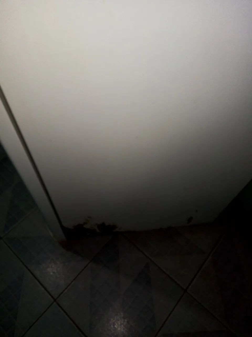 Vendo geladeira Electrolux Dc49A 462 litros  - Foto 5
