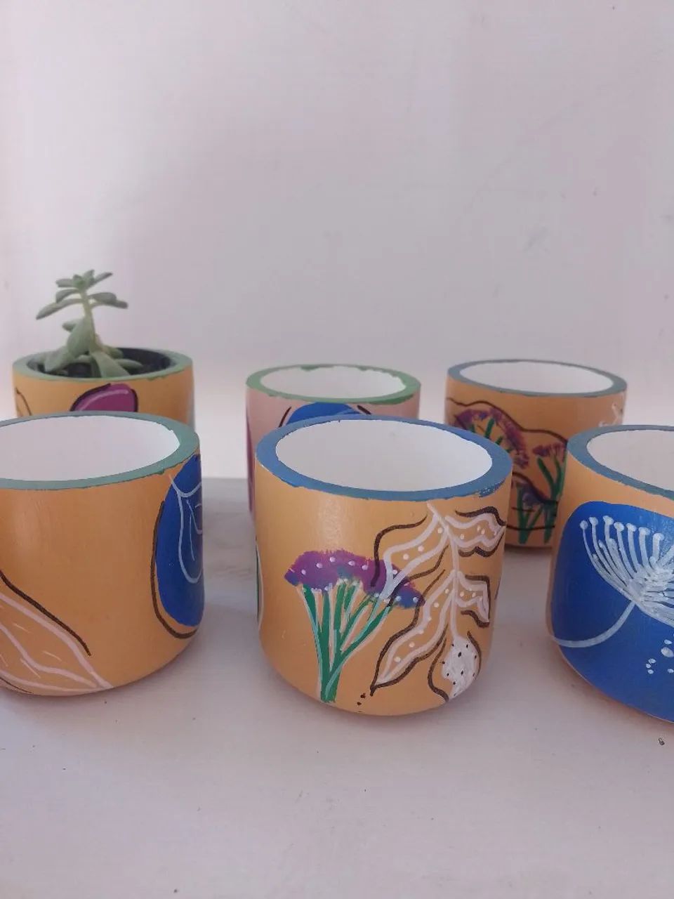Vaso com suculenta  - Foto 3