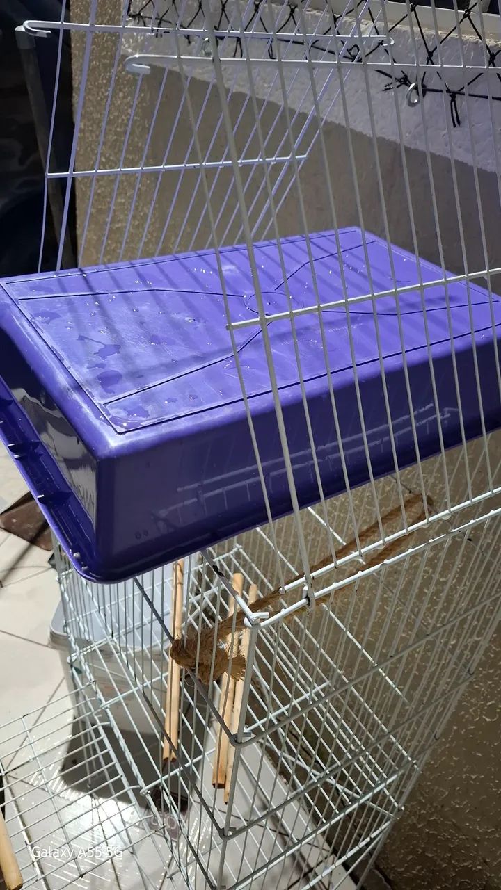 Viveiro calopsita papagaio periquito  - Foto 3