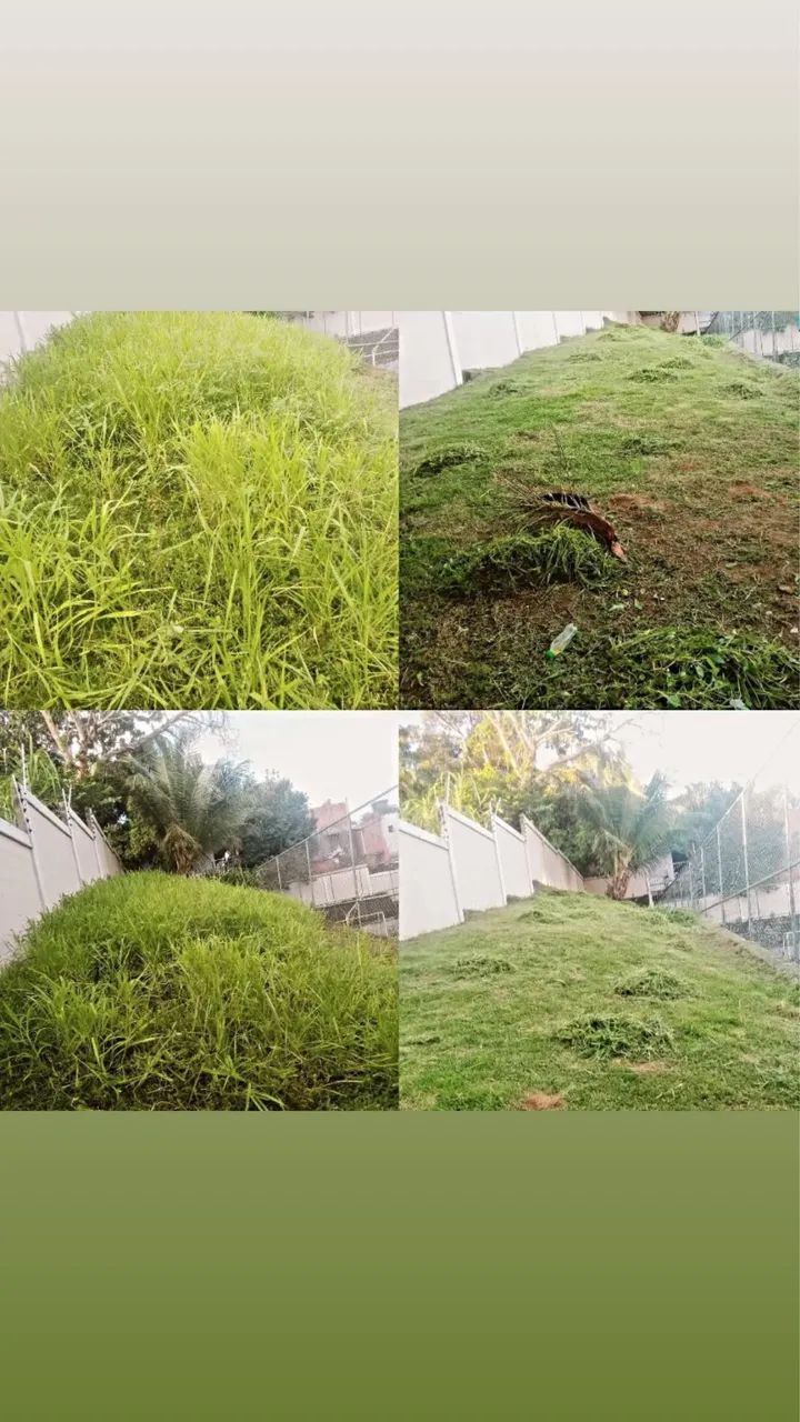 SERVIÇO DE CAPINAÇÃO E POLDAGEM  - Foto 4