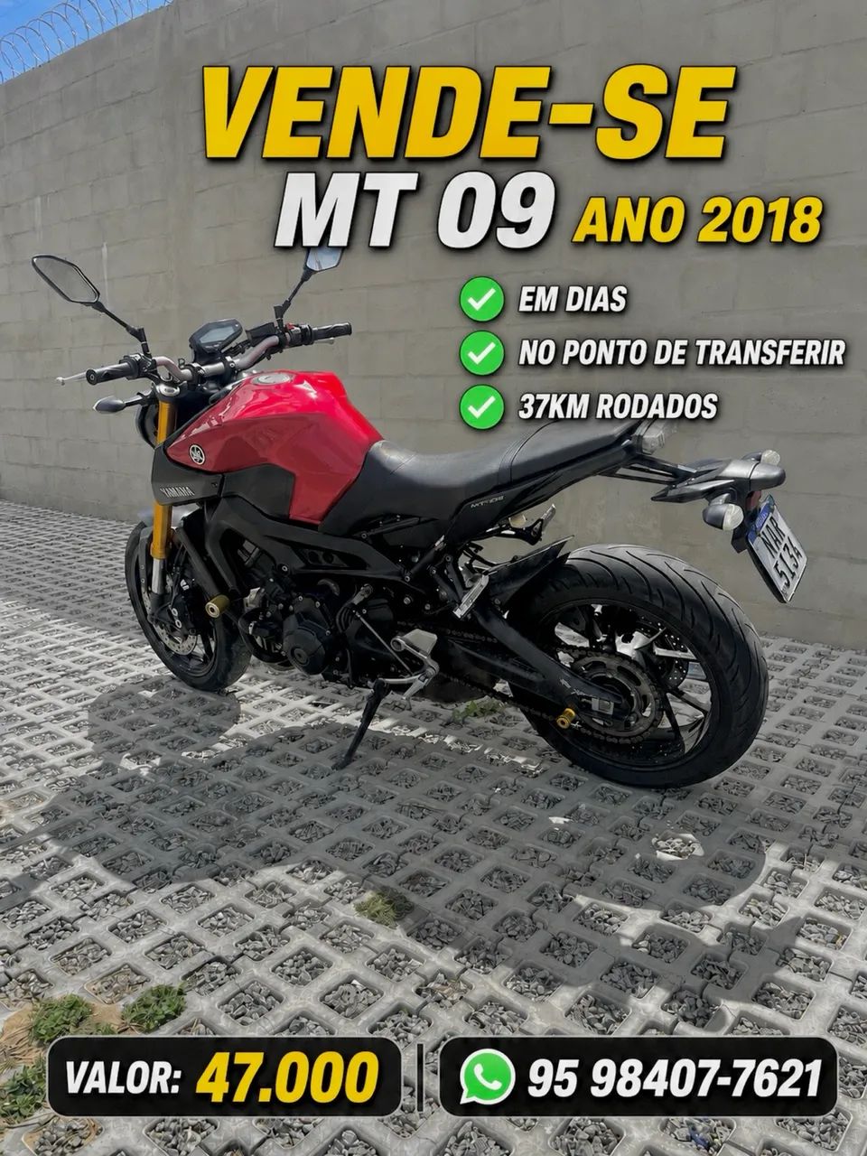 MT 09