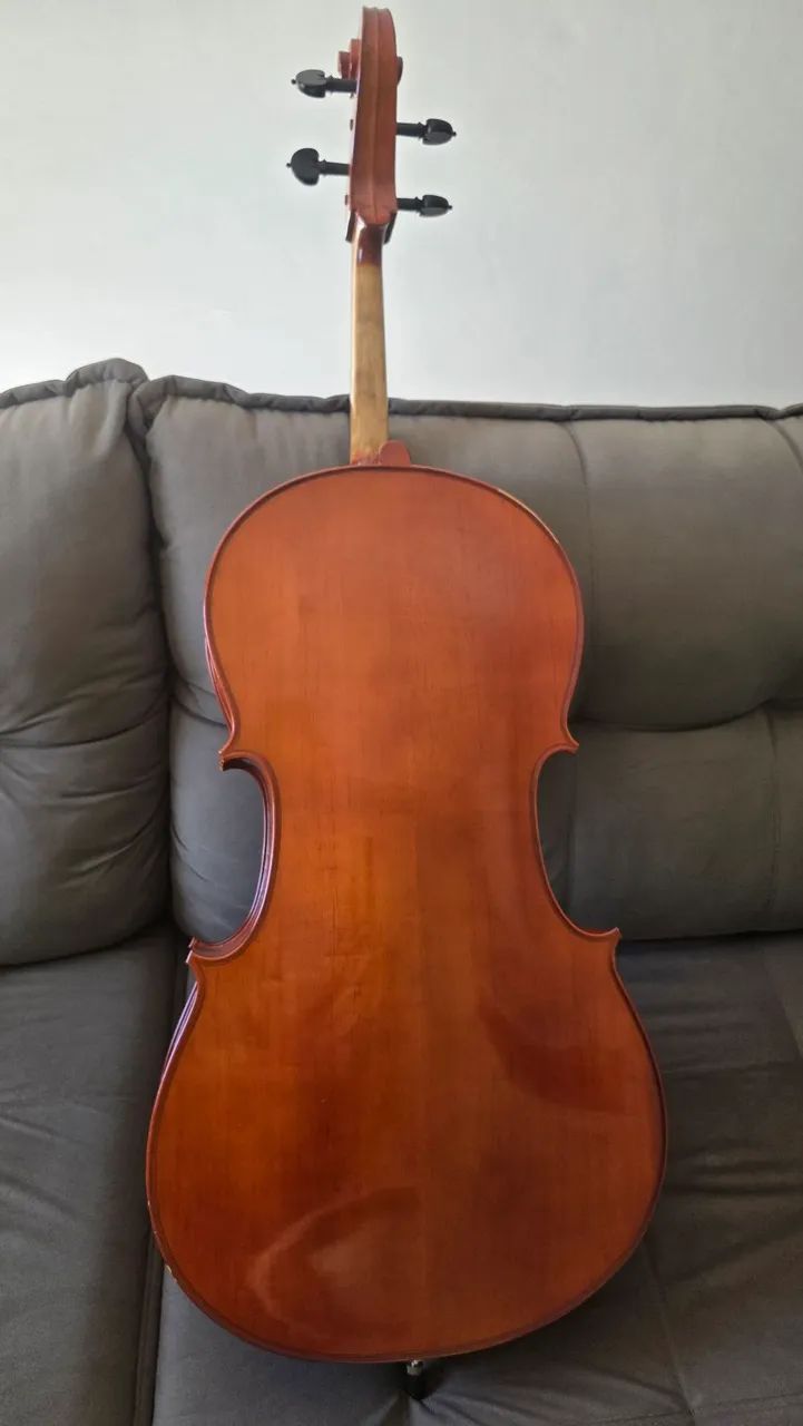 Violoncelo Parrot - Foto 3