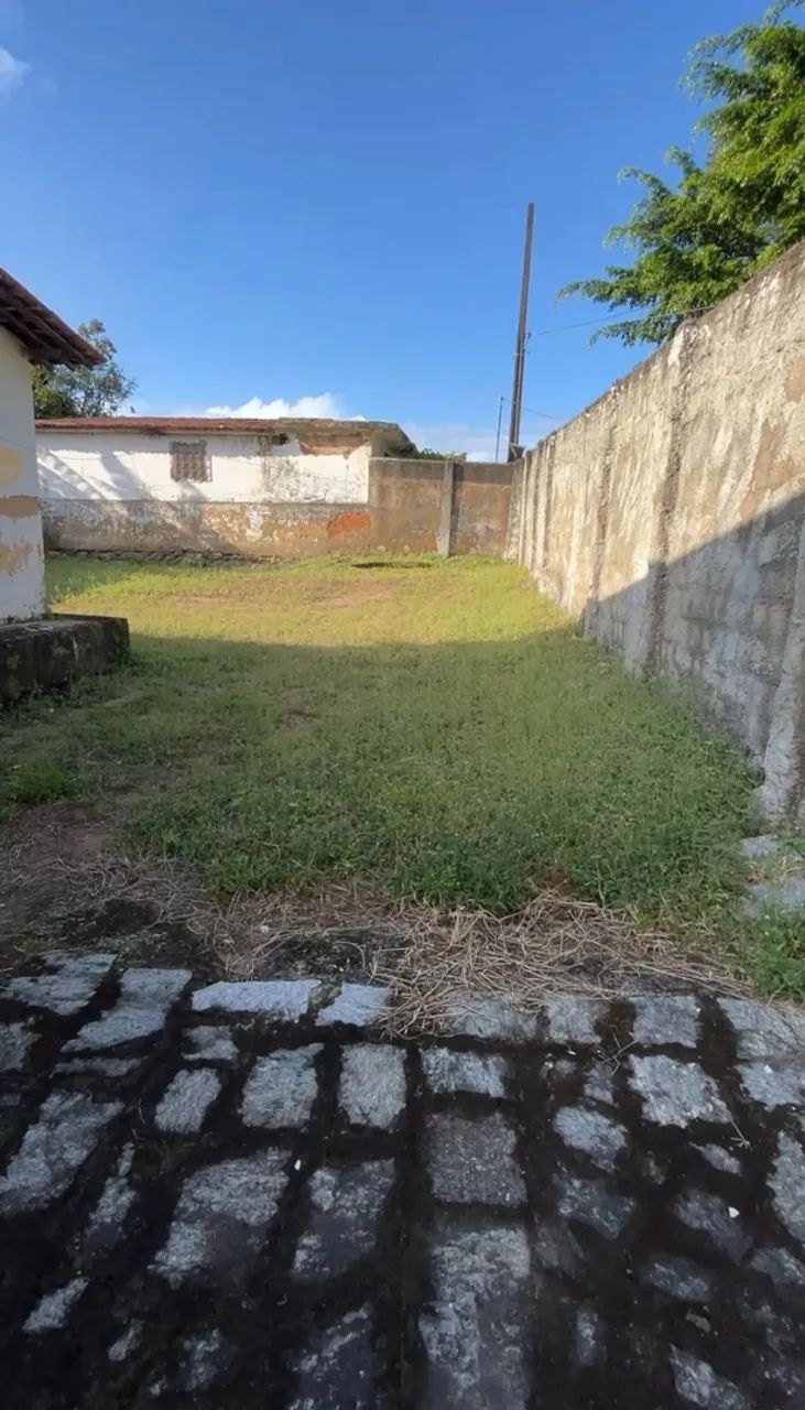 Casa Espaçosa com 2 Quartos (1 Suíte) e Terreno de 420m² - Foto 5