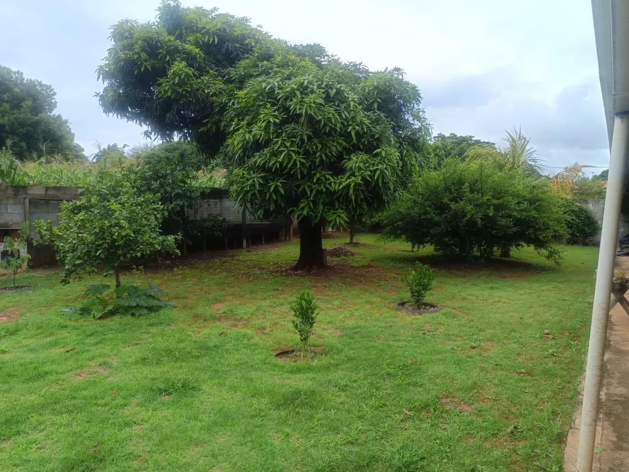 Foto - São Bernardo do Campo - Taboão