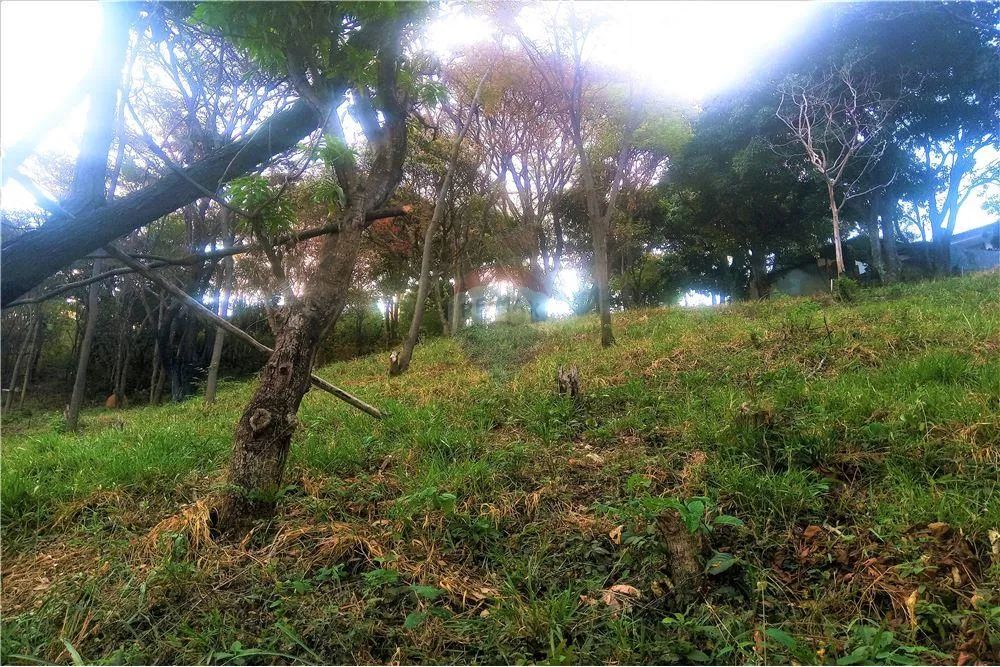 ÓTIMO TERRENO COM 5600m² NO BAIRRO BURITIS - BELO HORIZONTE - Foto 5