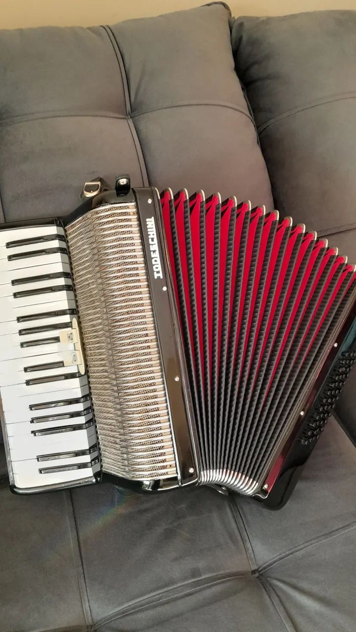 Acordeon todeschini 48 baixo  - Foto 5