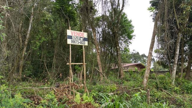 Terreno Colombo/Embu - Foto 9