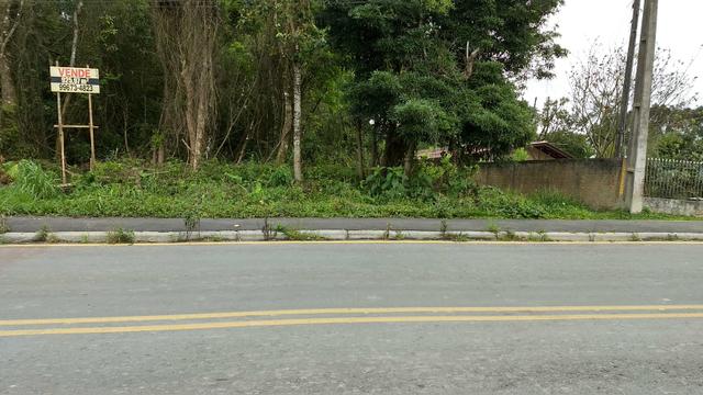 Terreno Colombo/Embu - Foto 7