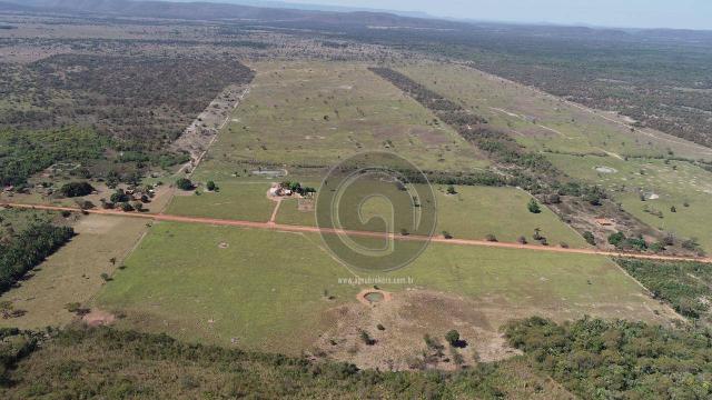 Fazenda para pecuária 185 ha santo antonio leverger - Foto 9