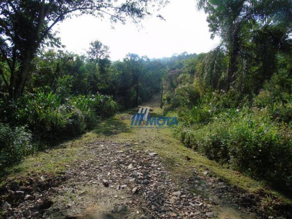 Fazenda antonina - Foto 8