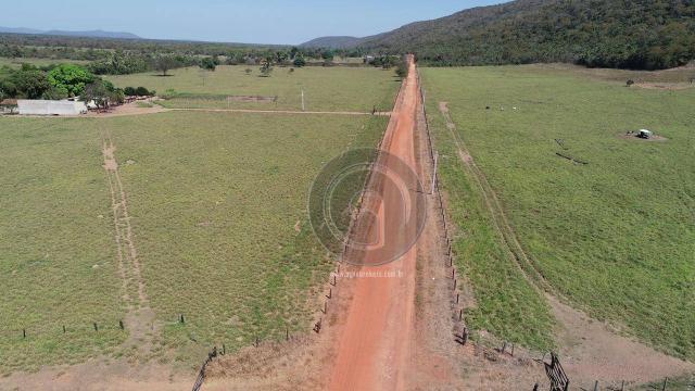 Fazenda para pecuária 185 ha santo antonio leverger - Foto 14