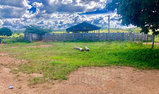 9Fazenda de 2.560 hectares para Venda, em Paranatinga / MT - Foto 2