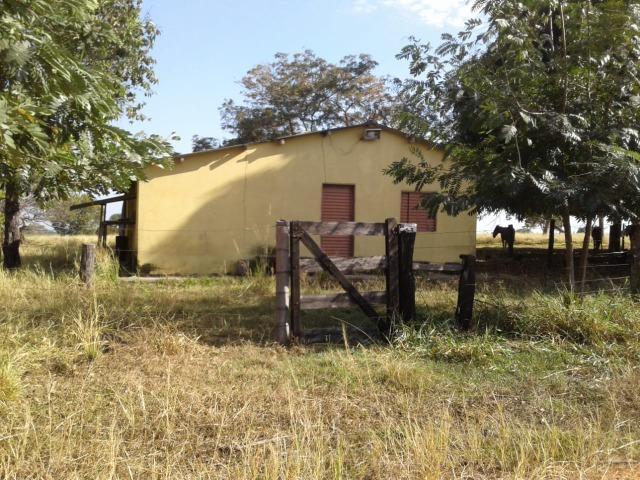 Fazenda 160 alqueires ( 774,4 hectares ) Pontal do Araguaia-MT \ Barra do Garça - Foto 12