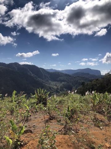 Grande oportunidade em Santa Teresa a 1,5km do asfalto