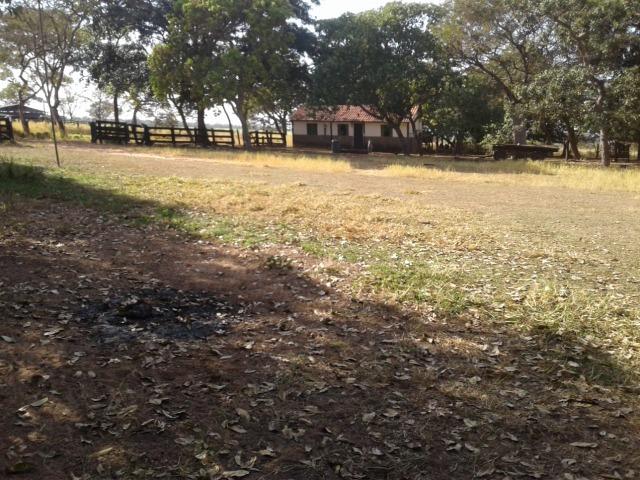 Fazenda 160 alqueires ( 774,4 hectares ) Pontal do Araguaia-MT \ Barra do Garça - Foto 5