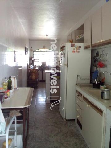 Casa à venda com 3 dormitórios em Dom cabral, Belo horizonte cod:776153 - Foto 7