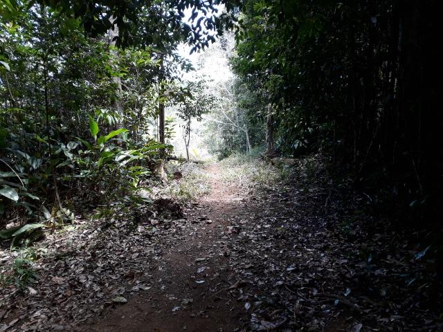 Sítio em Itacaré - Bahia - Foto 4