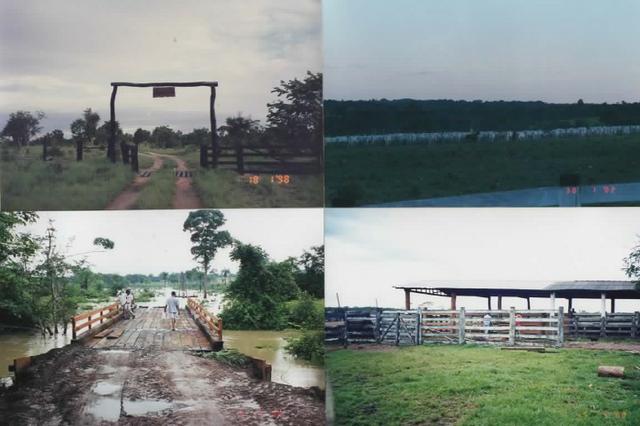 Fazenda Tocantins 1.626 ha gado pecuária soja Couto de Magalhães prox. Guaraí Palmas - Foto 12