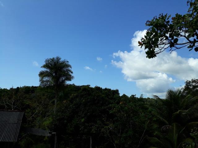 Sítio em Itacaré - Bahia