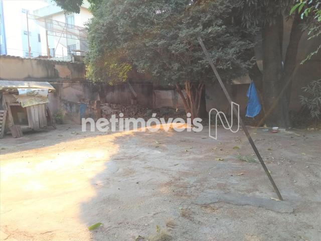 Casa à venda com 3 dormitórios em Carlos prates, Belo horizonte cod:770816 - Foto 3