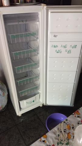 Freezer vertical consul