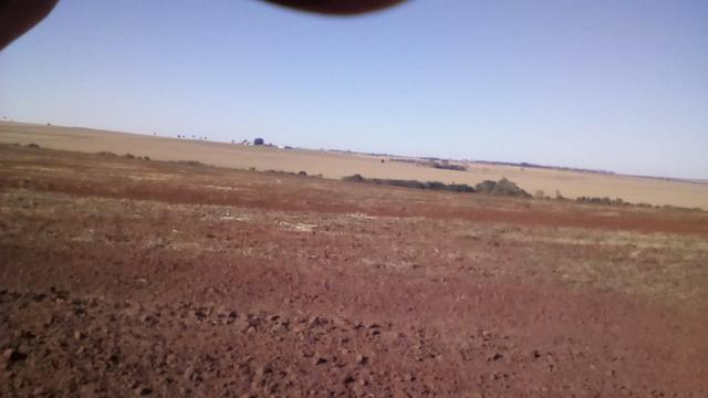 Fazenda Amanbai MS - Foto 5