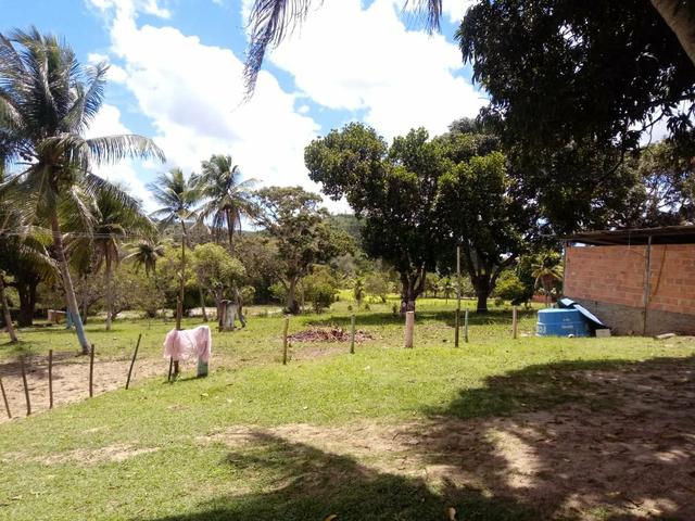 Fazenda, Água Fria, Bahia - Foto 2