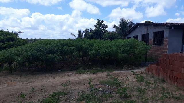 Vende-se um sítio em santa casa mirueira Paulista - Foto 4