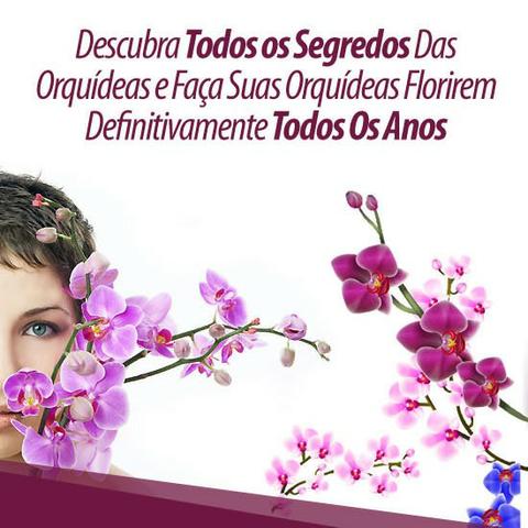Curso Como Cuidar de Orquídeas + 2 Super bonus - Foto 4