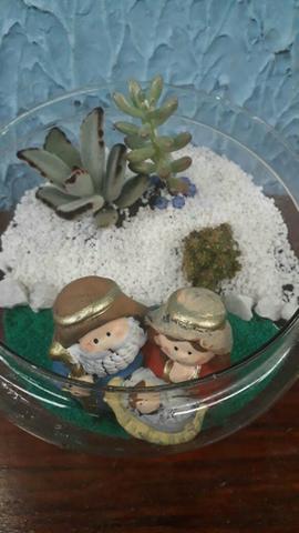 Plantas Terrário - Foto 2