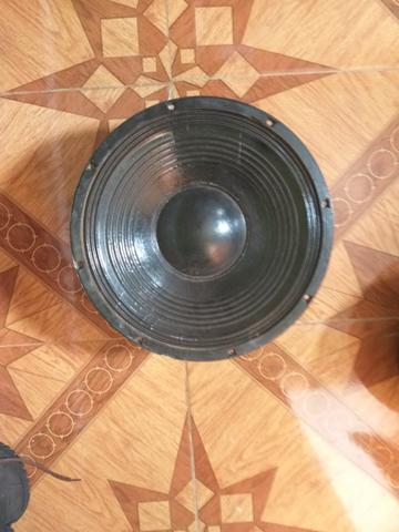 Auto falante 15P