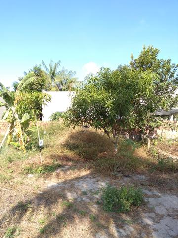 Vendo - Foto 2