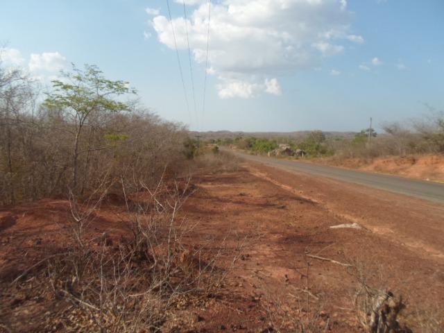 Terreno na BR-PI 214 Luzilândia/Esperantina - Foto 8