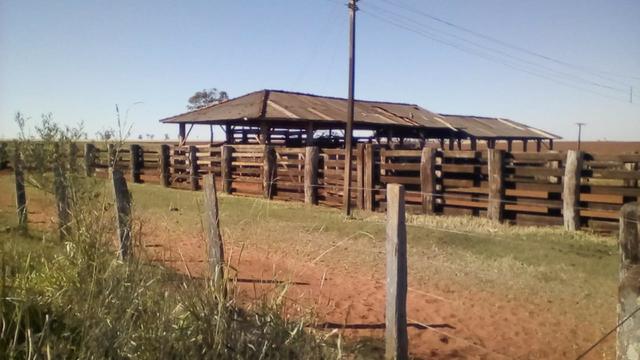 Fazenda Amanbai MS - Foto 10