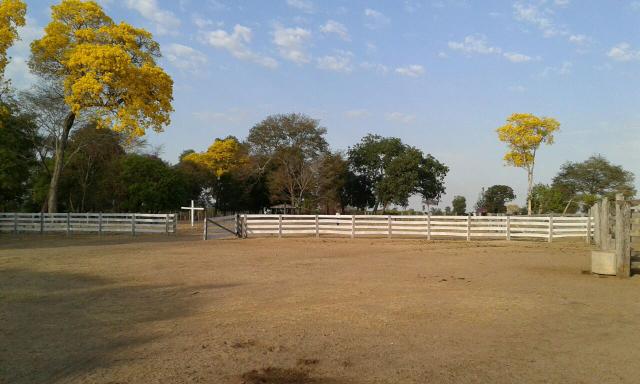Fazendão em Ribeirão Cascalheira - Foto 4
