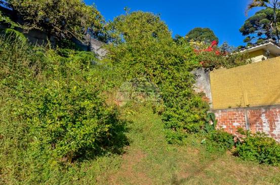 Terreno à venda em Sao lourenco, Curitiba cod:143184 - Foto 6