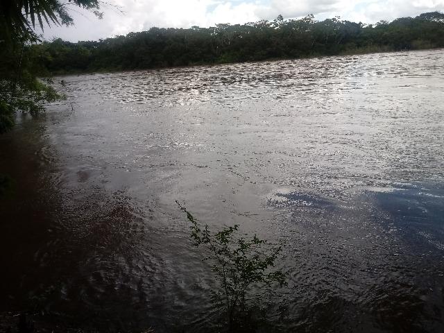 Vendo Chácara - Entre Guia e Acorizal - Rio Cuiabá - Foto 6