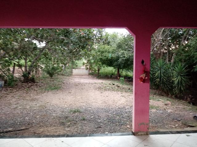 Vendo Chácara - Entre Guia e Acorizal - Rio Cuiabá - Foto 8