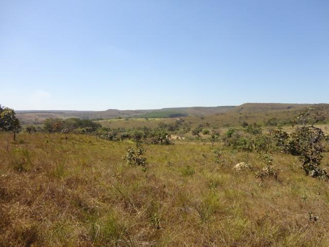 Chácaras de 2 hectares Entrada+Parcela Localizado no Santo Antônio do Descoberto - Foto 3