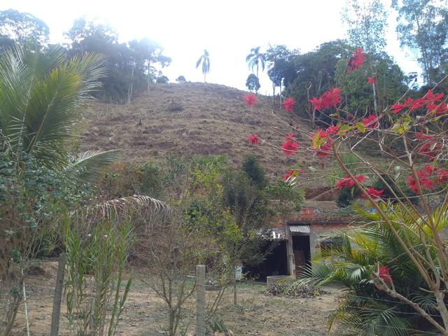 Vendo uma granja - Foto 2
